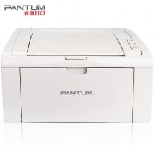 奔图（PANTUM） P2506 Pro系列打印机黑白激光家用学生机办公机