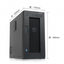 戴尔（DELL） T30小型ERP塔式服务器Server电脑主机 英特尔® 酷睿™ i3-6100/4GB 非ECC UDIMM/1TB 入门级 SATA HDD/DVDRW/3NBD
