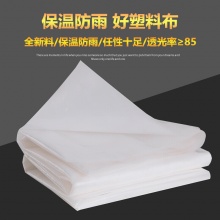 塑料布 6*10m/块